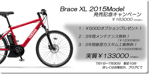 Brace-XL　2015モデル　スペシャルキャッペー_e0165756_22371812.jpg