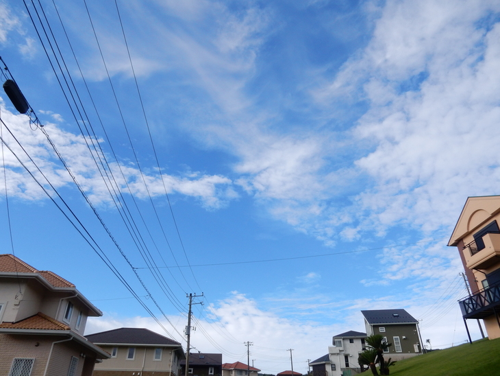 ’１５，７，８（水）晴れのち曇り後雨！_f0060461_12364824.jpg