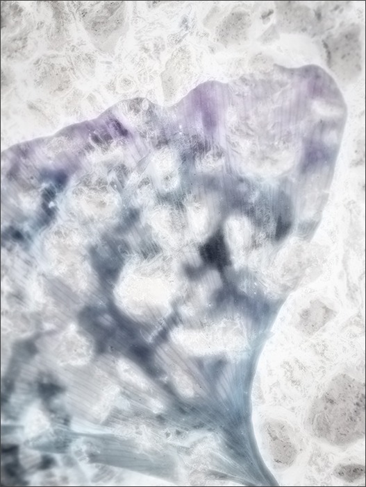 写真展巡り_a0161380_9225272.jpg
