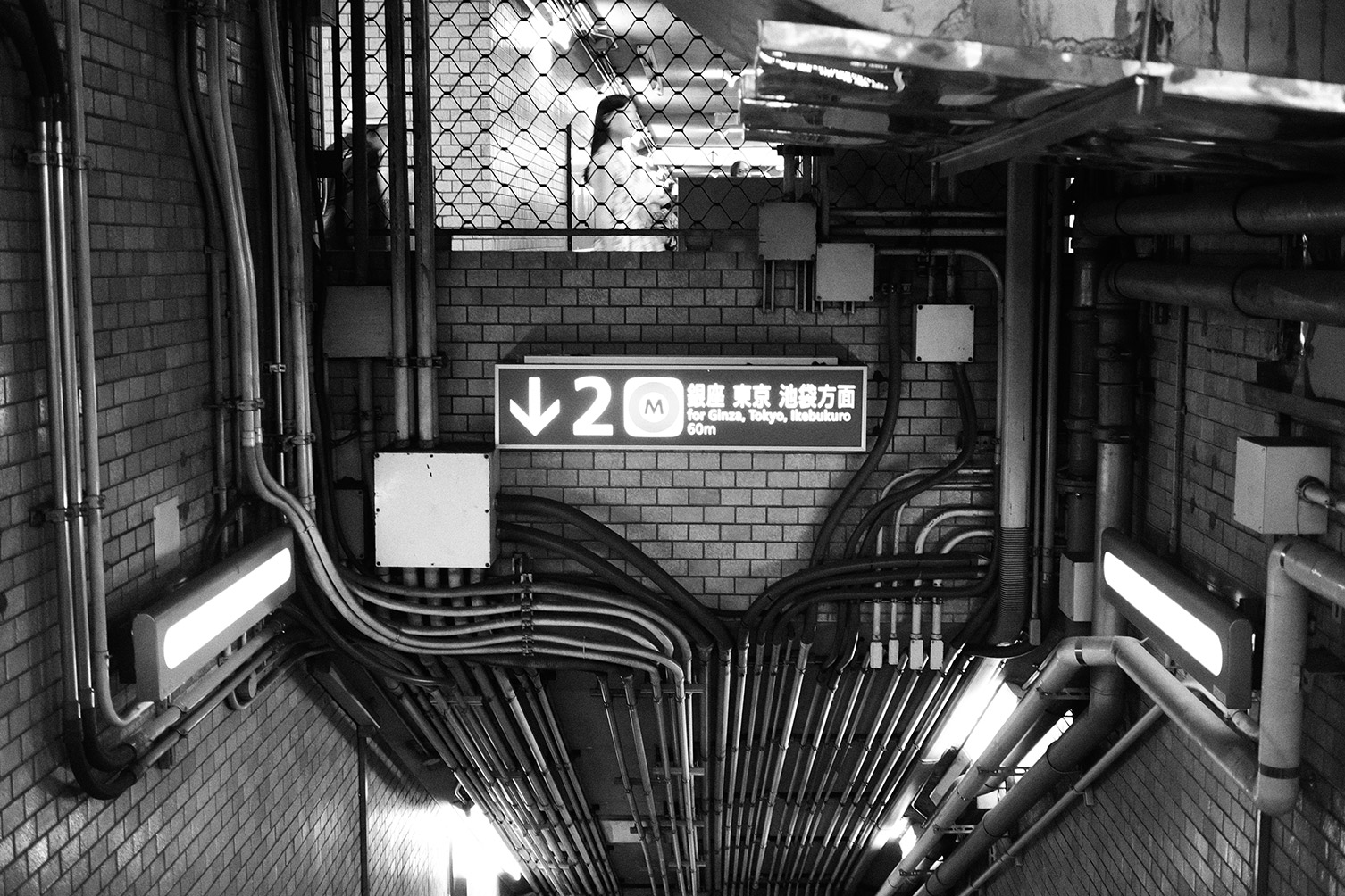 f0121181_019417.jpg