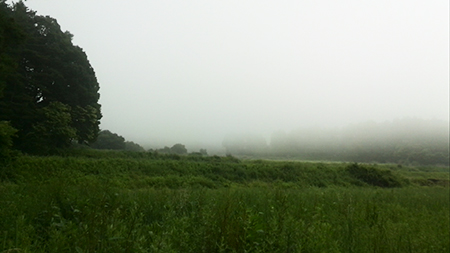 b0003483_91375.jpg