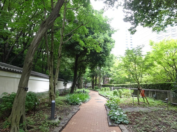 ぶらり小石川後楽園_d0183387_22580233.jpg