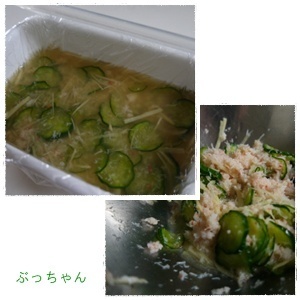 弁当に夏野菜_f0353990_19122978.jpg