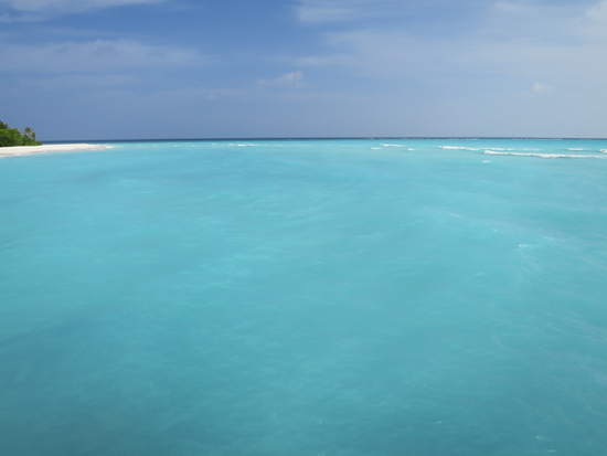 e0338303_17183024.jpg