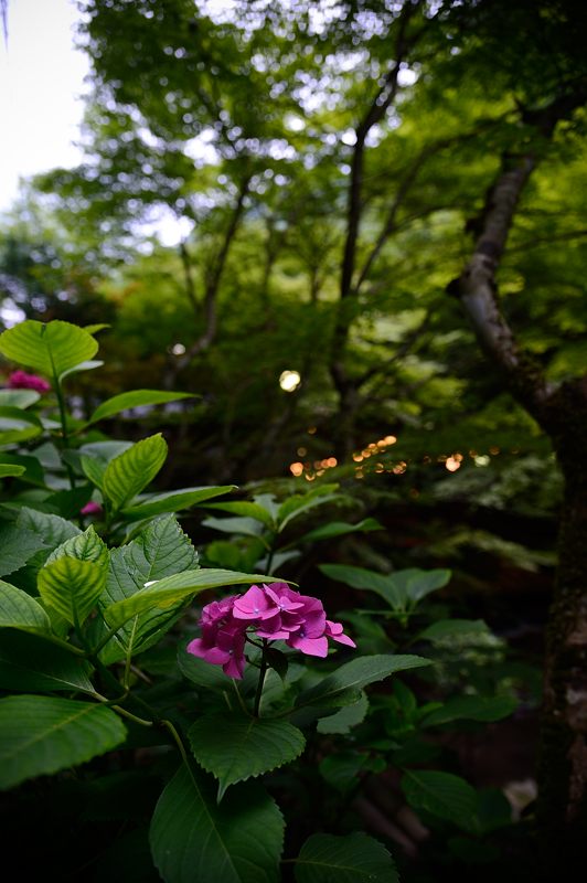 f0032011_19413089.jpg