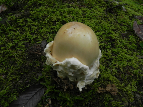 e0352220_23093752.jpg