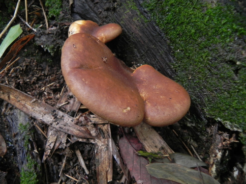 e0352220_23112389.jpg