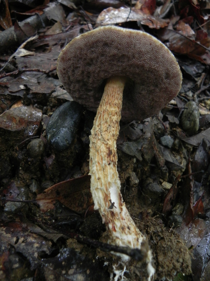 e0352220_23193551.jpg