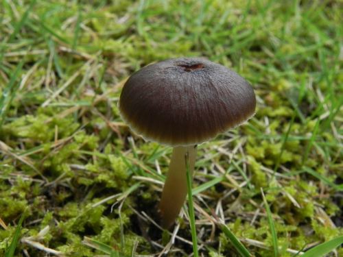 e0352220_23271355.jpg