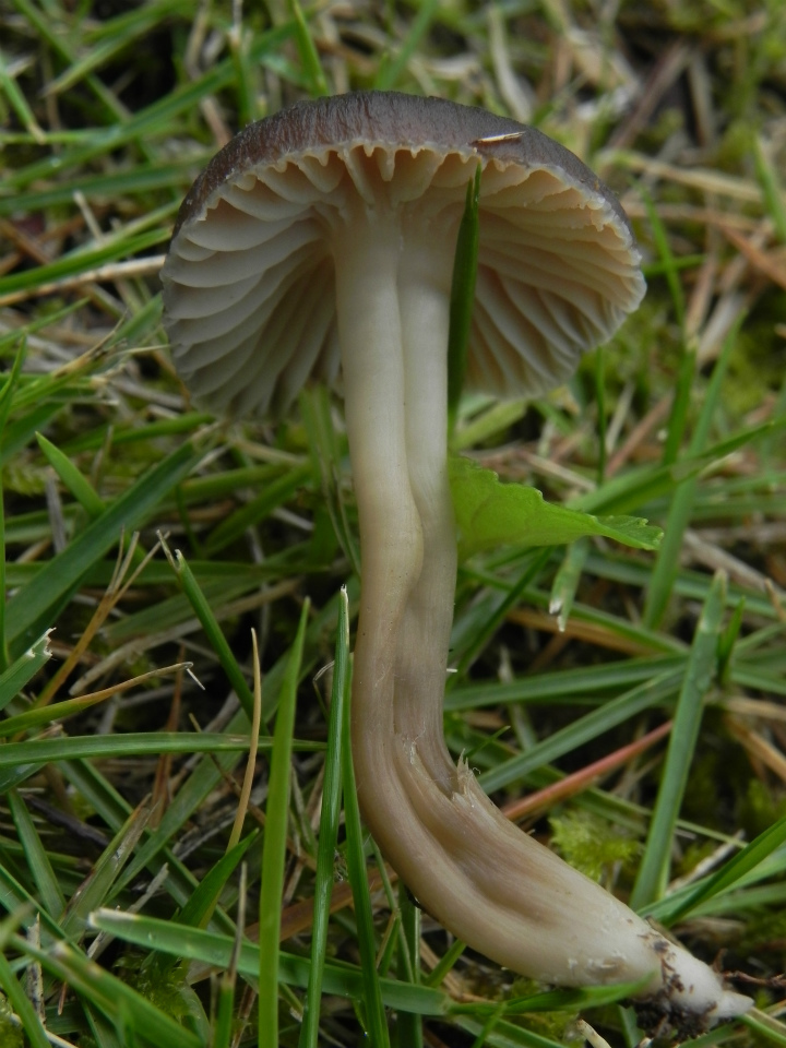 e0352220_23283749.jpg