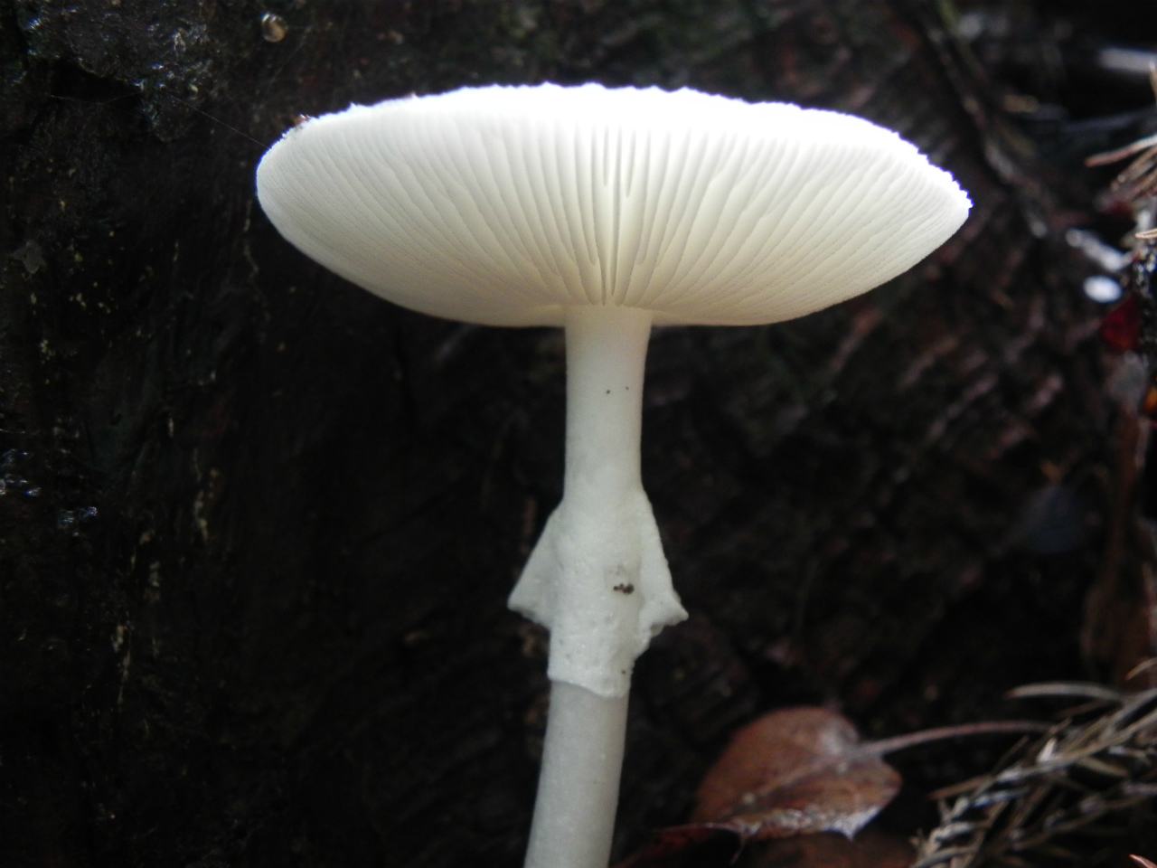 e0352220_23491099.jpg
