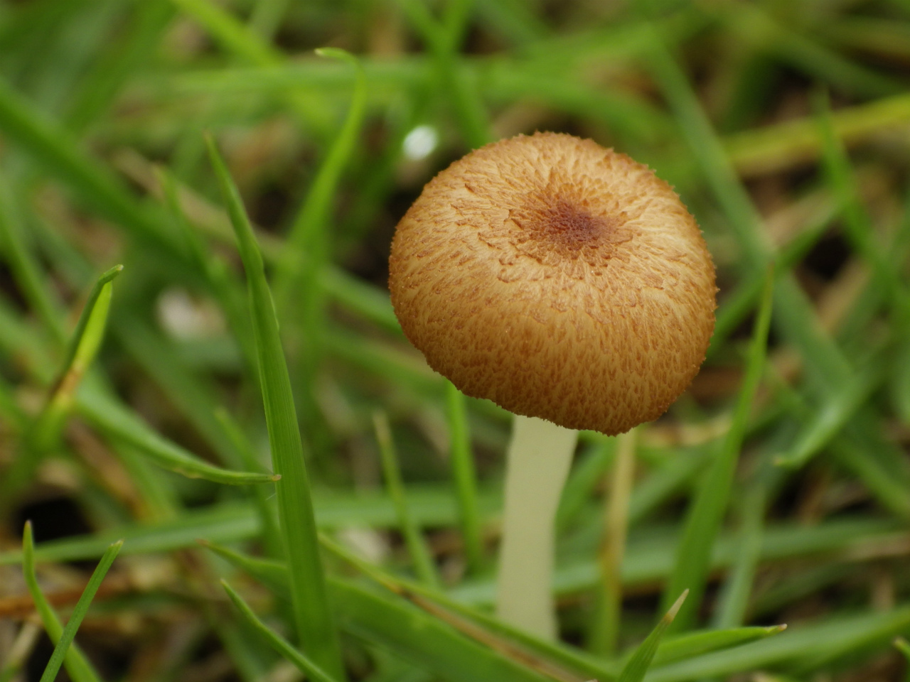 e0352220_23524510.jpg