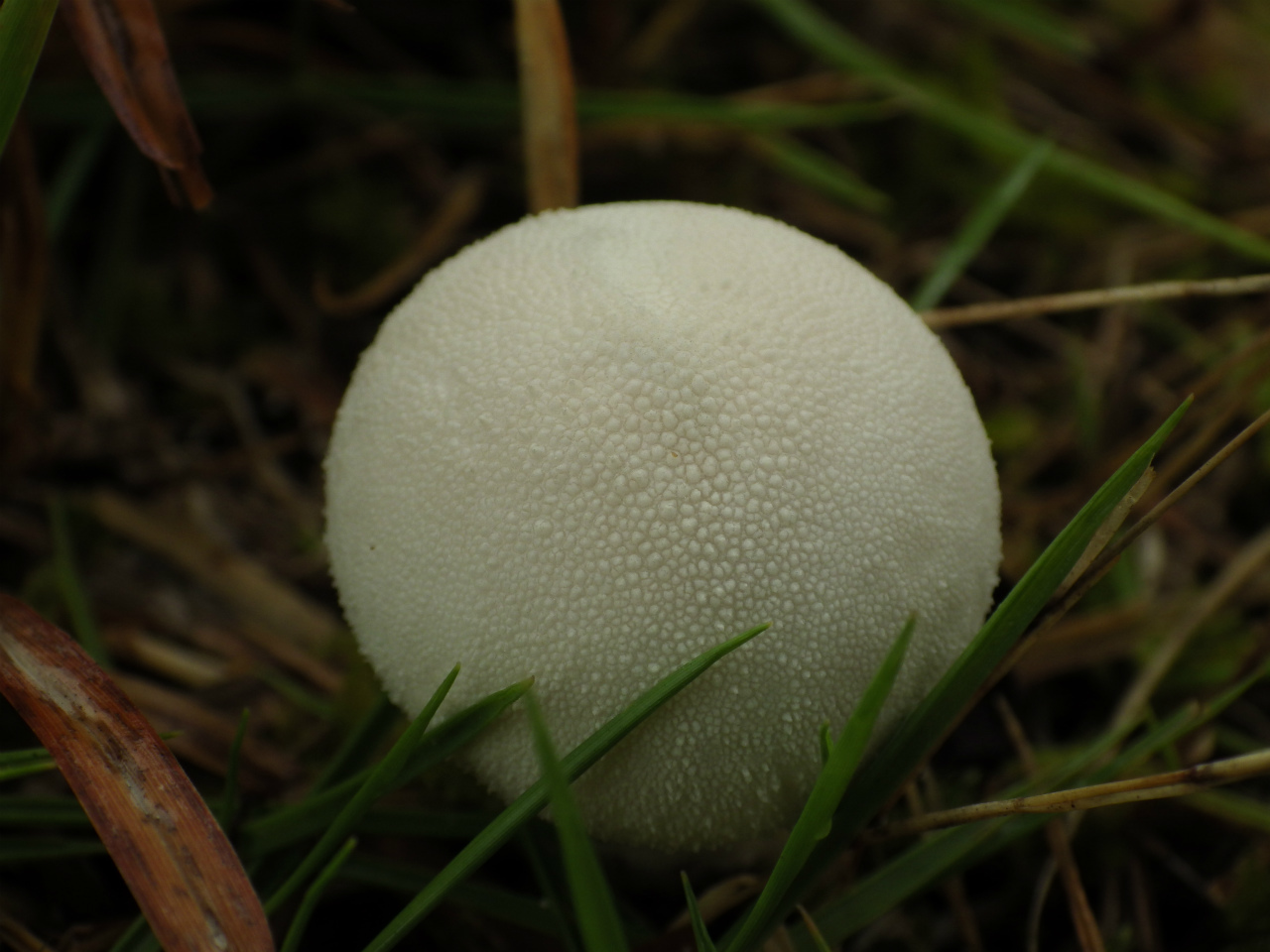 e0352220_23565445.jpg