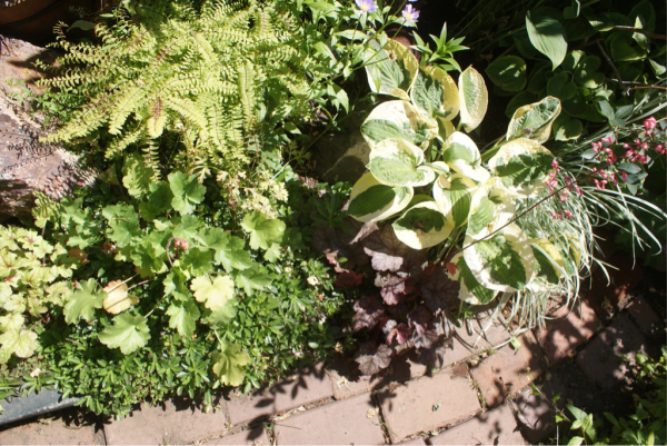 f0170524_07541596.jpg