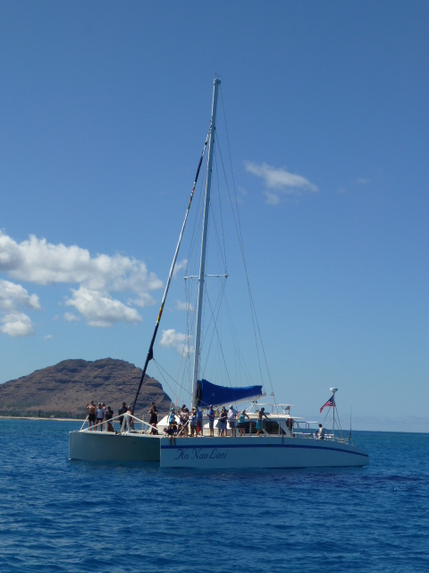 Hawaii 旅行記 ドルフィン・ウォッチング編_e0237625_18165050.jpg