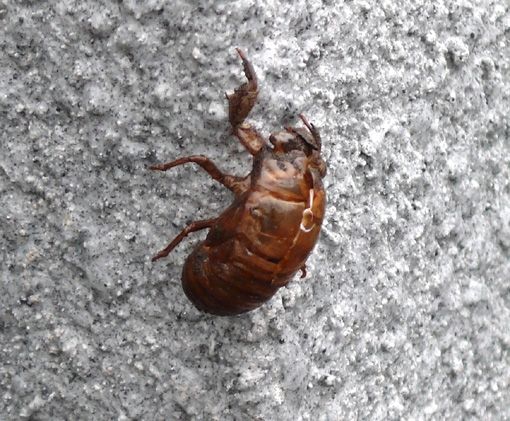 b0023728_80596.jpg