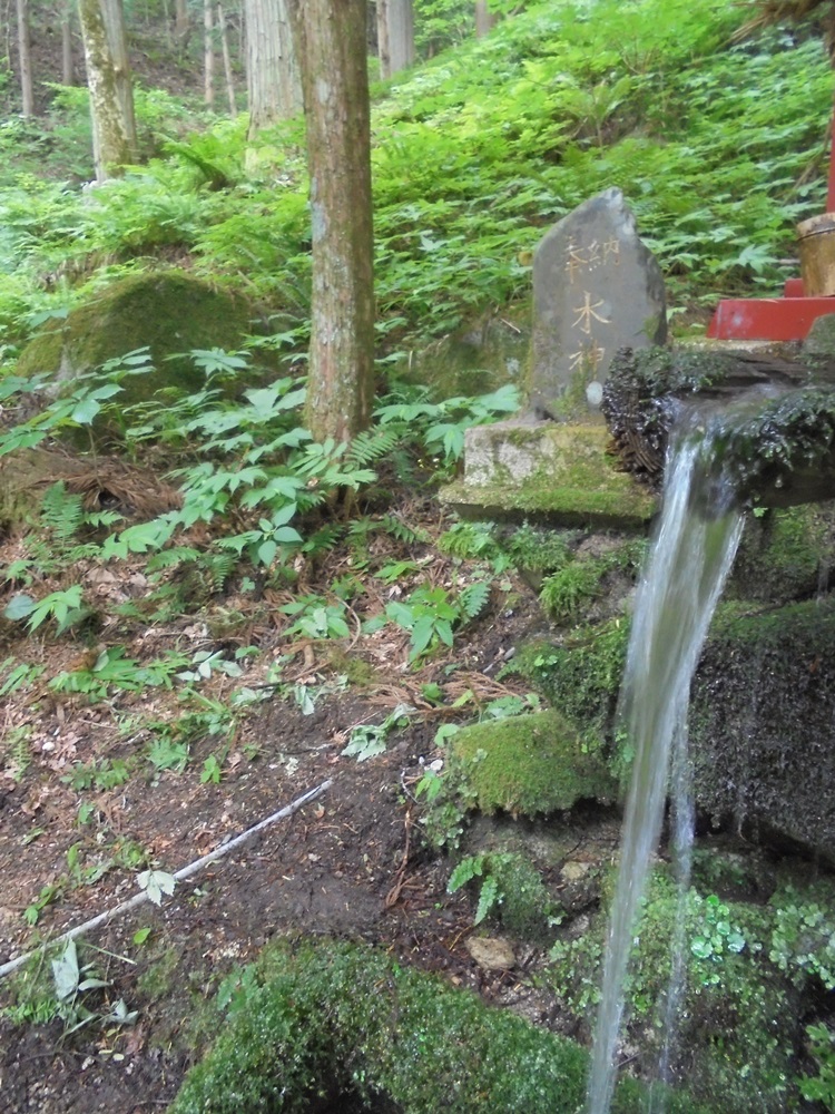 程洞稲荷神社例祭に_c0111229_19551334.jpg