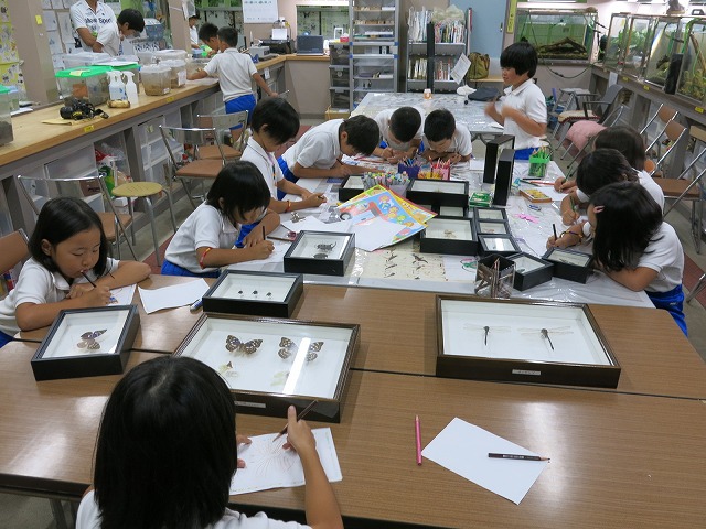f0177529_2237534.jpg