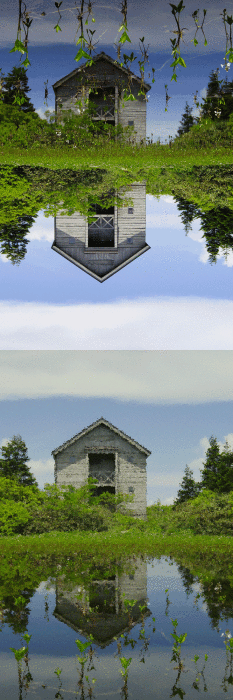 d0237340_10564471.gif