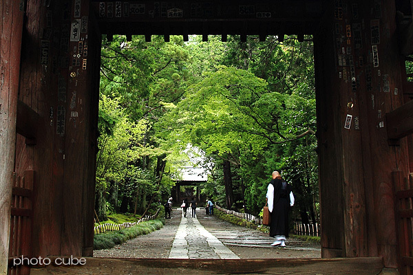 湘南物語　～雨の鎌倉模様*寿福寺*～_b0195043_01575356.jpg