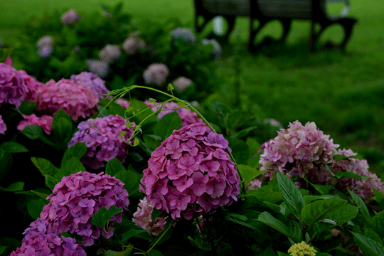 c0093046_1727729.gif