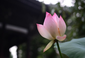 たのしく、しあわせ。_d0227246_9523265.jpg
