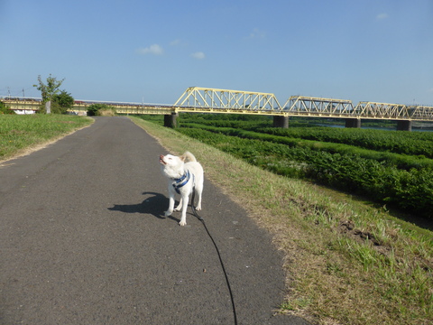 b0238249_20221623.jpg