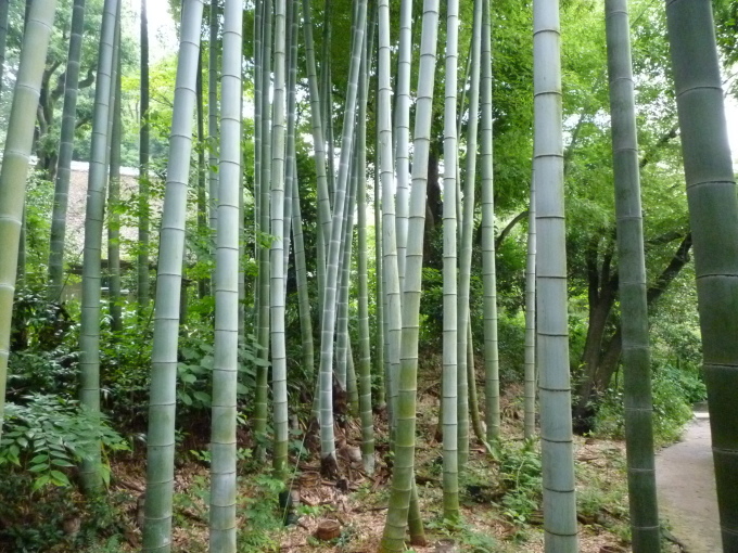 武相荘に行って来ました。_b0246953_19215668.jpg