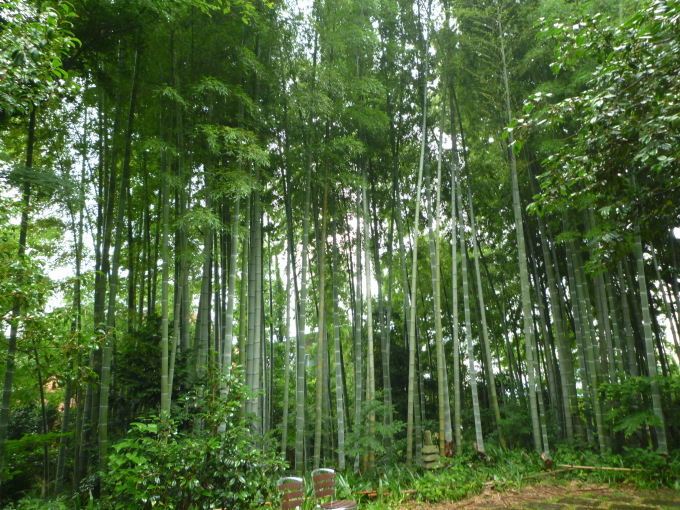 武相荘に行って来ました。_b0246953_19223835.jpg