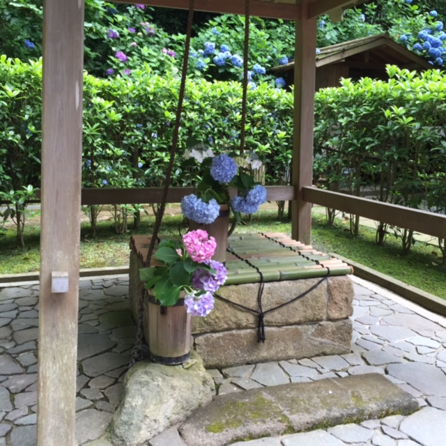 一休みしていました_b0093660_1750186.jpg