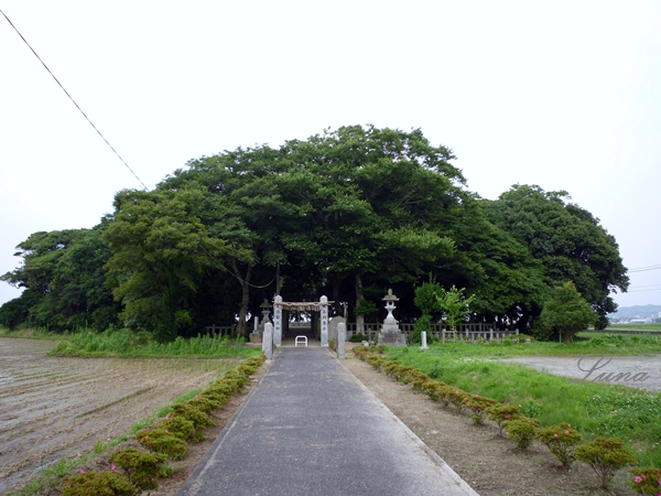 c0222861_21313664.jpg