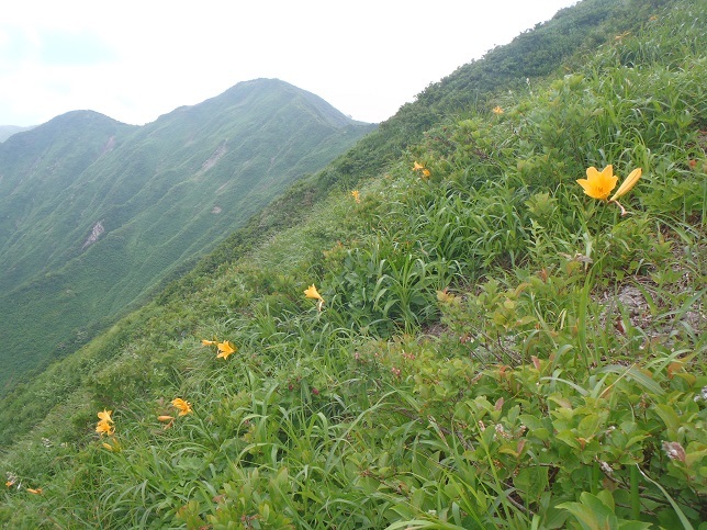 d0032262_09222952.jpg