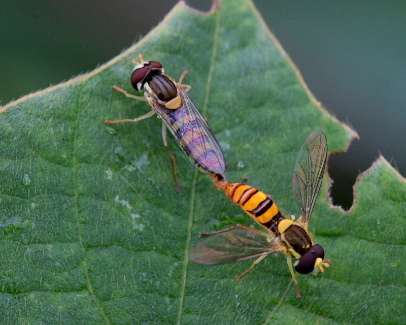 c0305565_17592440.jpg