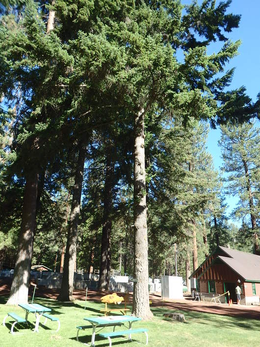 c0115366_20293086.jpg