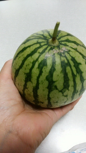 プチ便り(残念やゎぁ~)_a0206870_1764065.jpg