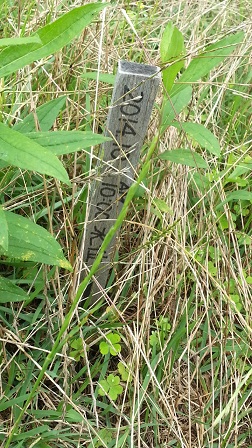 f0228680_9272888.jpg
