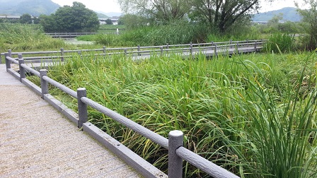 f0228680_9301835.jpg