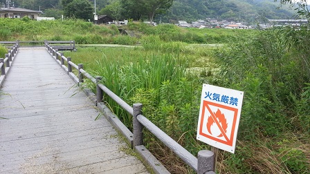 f0228680_930213.jpg