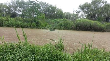 f0228680_9303313.jpg