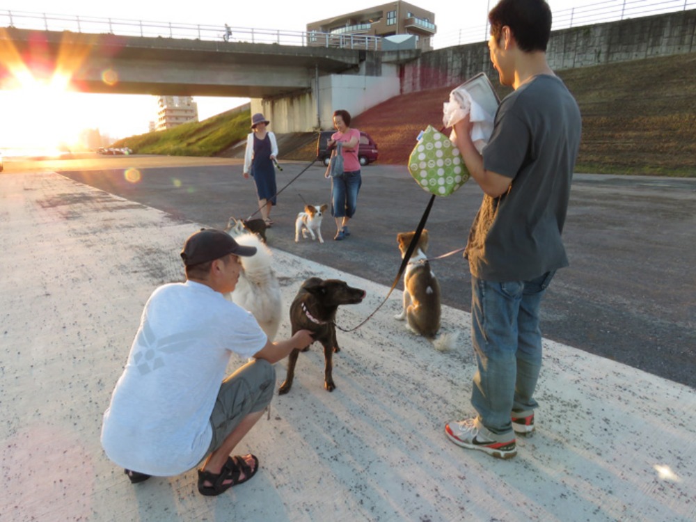 夕暮れサロン♪ (*^_^*)_c0049299_22253222.jpg