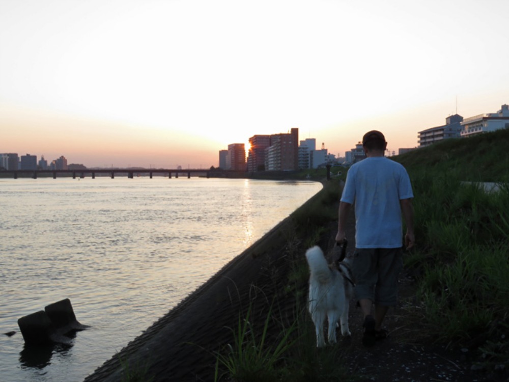夕暮れサロン♪ (*^_^*)_c0049299_22284717.jpg