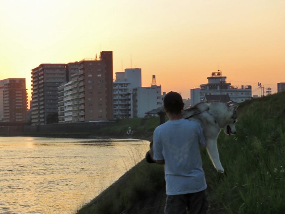 夕暮れサロン♪ (*^_^*)_c0049299_22294853.jpg