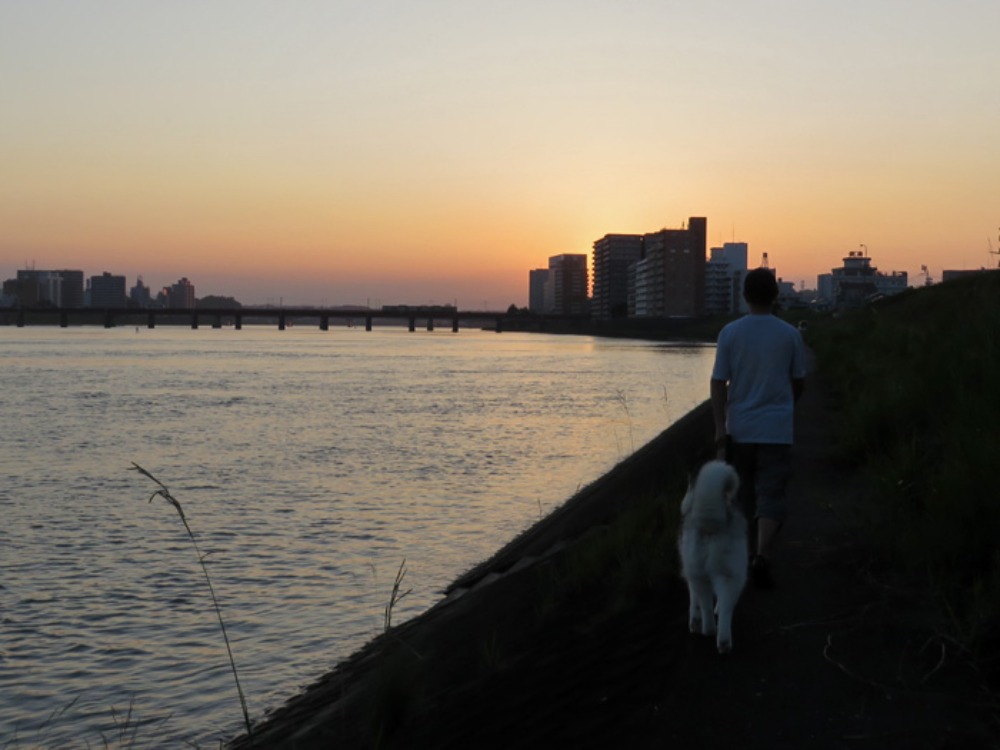 夕暮れサロン♪ (*^_^*)_c0049299_2233458.jpg