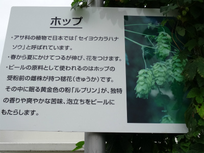 c0125501_03439.jpg