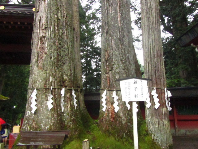 a0100706_356582.jpg