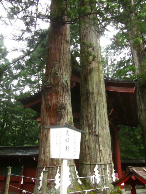 a0100706_412210.jpg