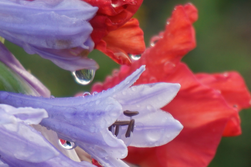 長い雨模様やんだ_c0248013_15395025.jpg