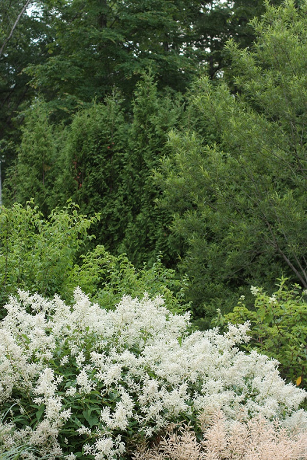 e0211213_21409.jpg