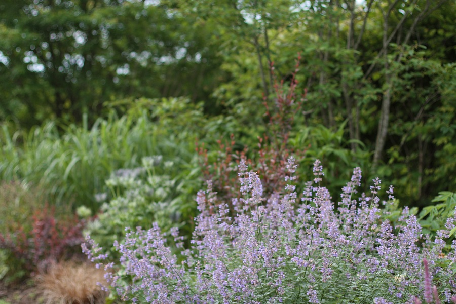 e0211213_2152756.jpg