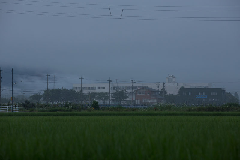 a0278914_5545227.jpg